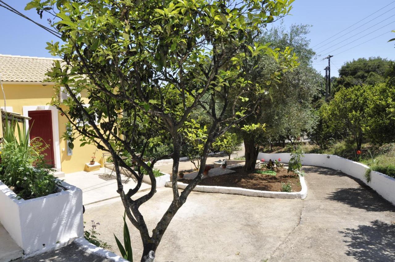 Braziliana Apartments Dassia  Exterior photo