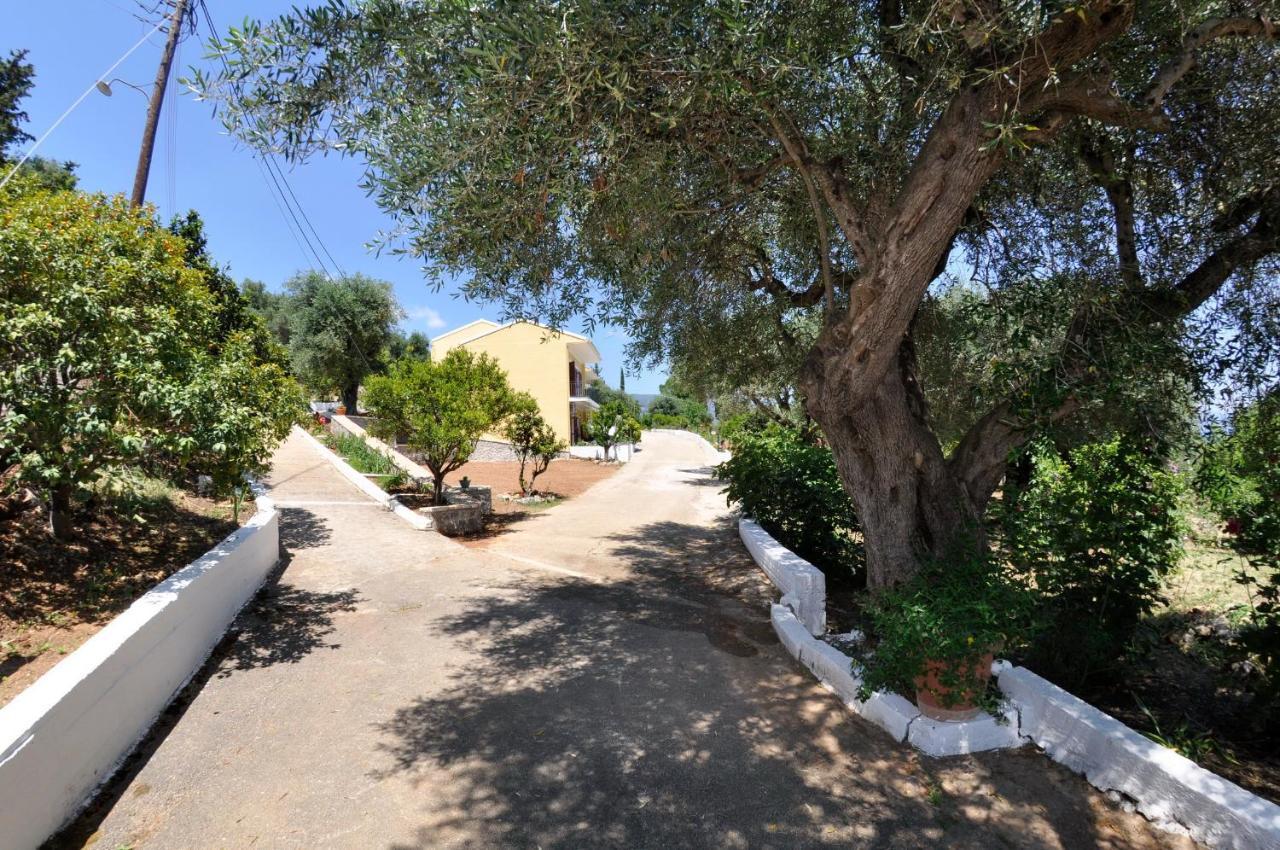 Braziliana Apartments Dassia  Exterior photo